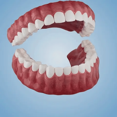 (𝗔𝗳𝗳𝗼𝗿𝗱𝗮𝗯𝗹𝗲 𝗕𝗲𝗮𝘂𝘁𝘆)🧏‍♀️🧏‍♂️--𝗗𝗜𝗬𝗦𝗧𝗔𝗥™ --𝗔𝗱𝘃𝗮𝗻𝗰𝗲𝗱 𝗖𝘂𝘀𝘁𝗼𝗺𝗶𝘇𝗲𝗱 𝗙𝘂𝗹𝗹 𝗗𝗲𝗻𝘁𝘂𝗿𝗲 𝗦𝗲𝘁🦷